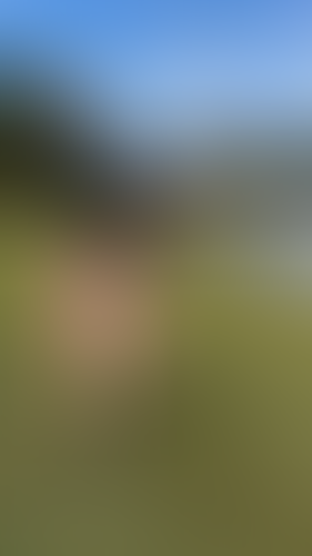Blurred content preview