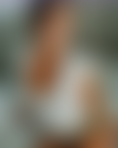 Blurred content preview