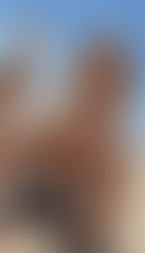Blurred content preview
