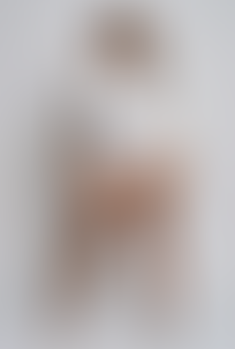Blurred content preview