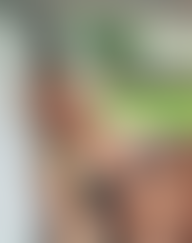 Blurred content preview