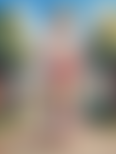 Blurred content preview
