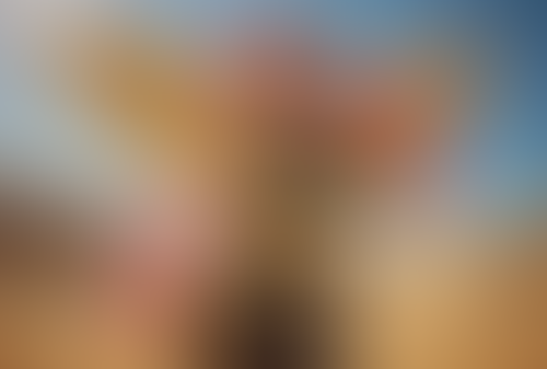 Blurred content preview