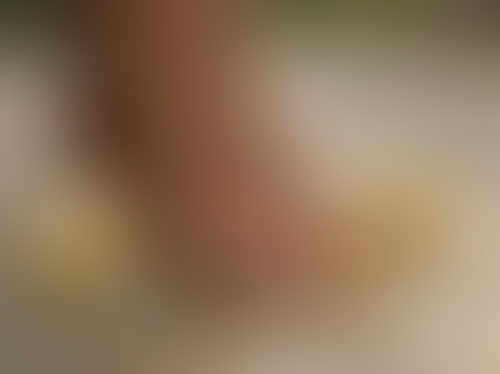 Blurred content preview