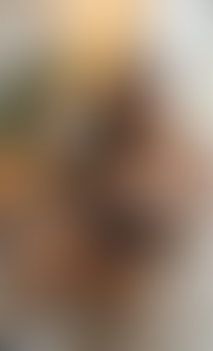 Blurred content preview