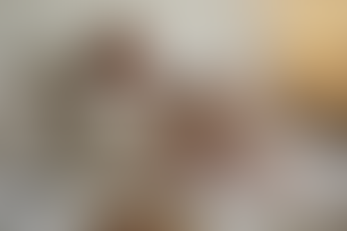 Blurred content preview