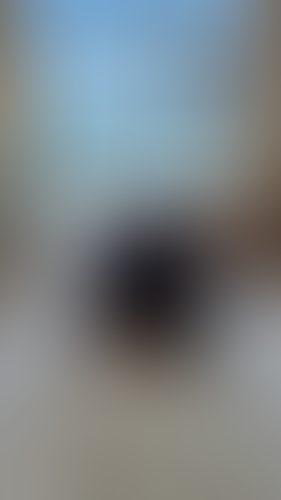 Blurred content preview