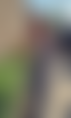 Blurred content preview