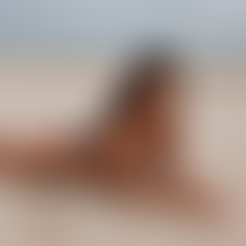 Blurred content preview