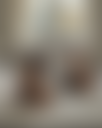 Blurred content preview