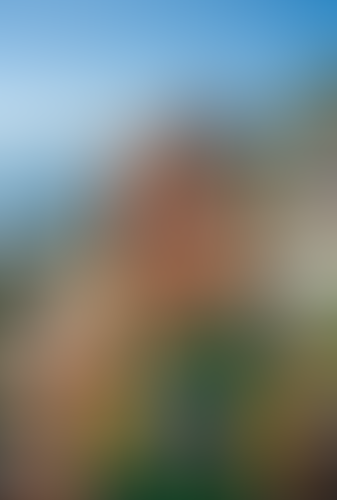 Blurred content preview