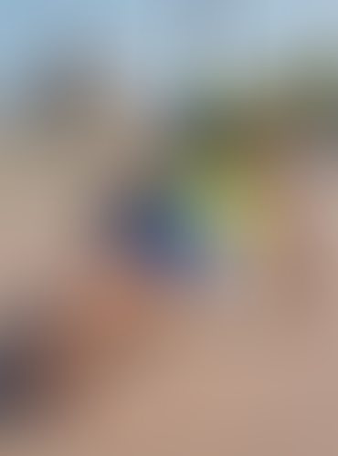 Blurred content preview