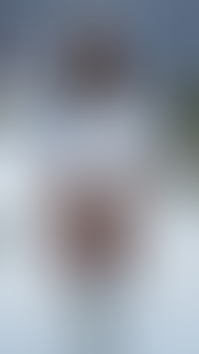Blurred content preview
