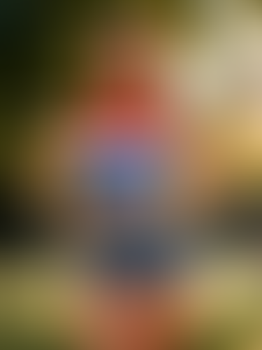 Blurred content preview