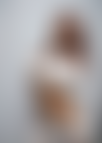 Blurred content preview