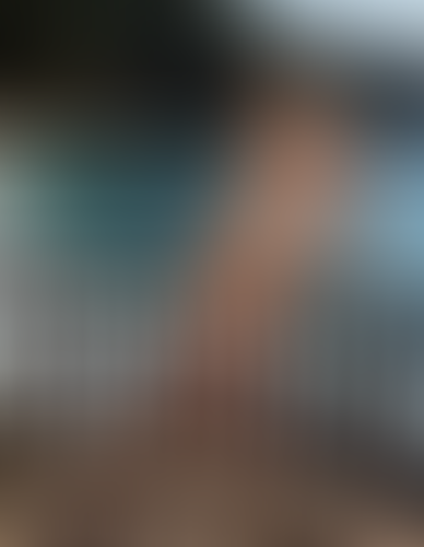 Blurred content preview