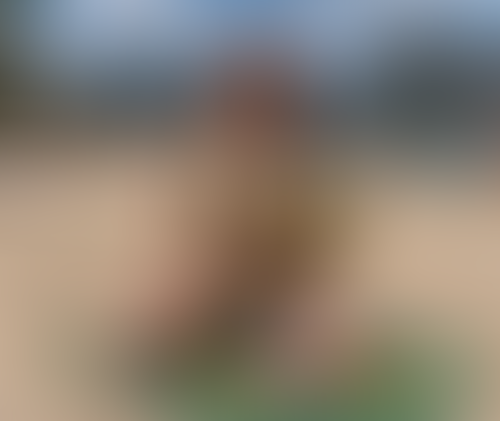 Blurred content preview