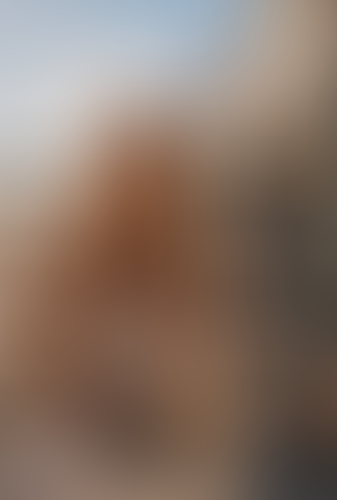 Blurred content preview