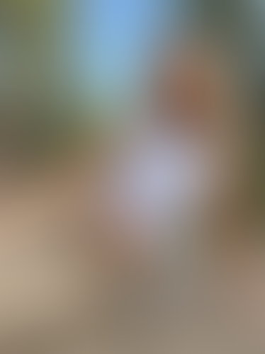 Blurred content preview