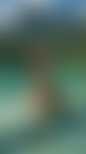 Blurred content preview