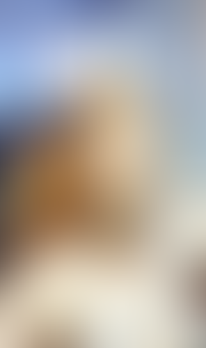 Blurred content preview