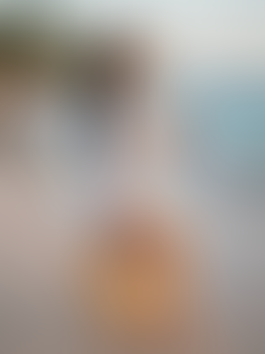 Blurred content preview