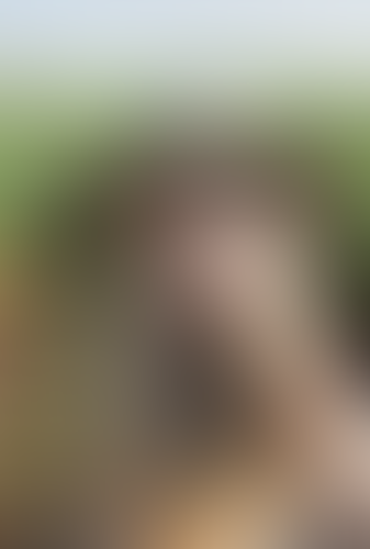 Blurred content preview