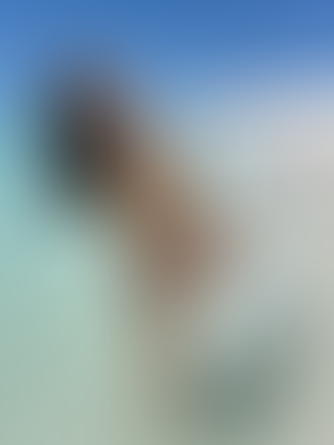 Blurred content preview