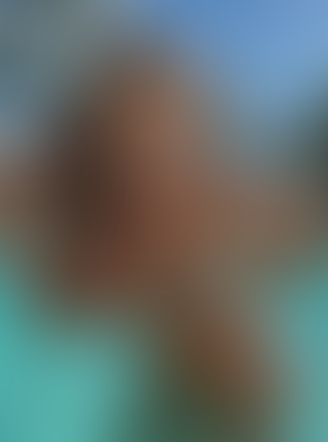 Blurred content preview