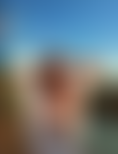 Blurred content preview
