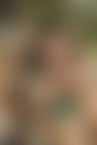 Blurred content preview