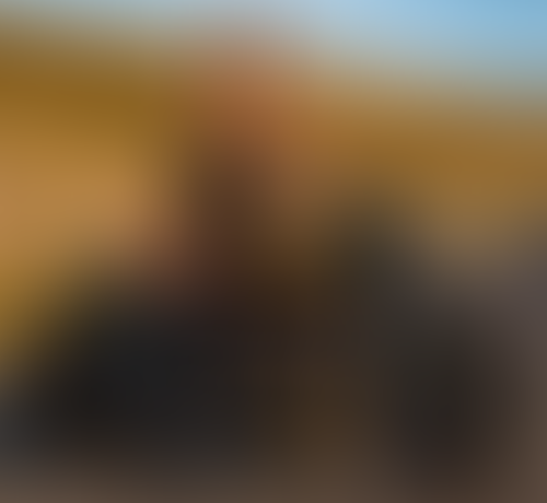 Blurred content preview