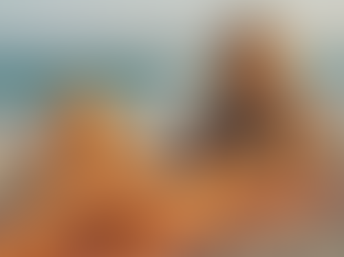 Blurred content preview