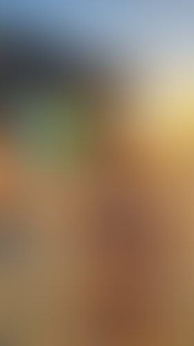 Blurred content preview