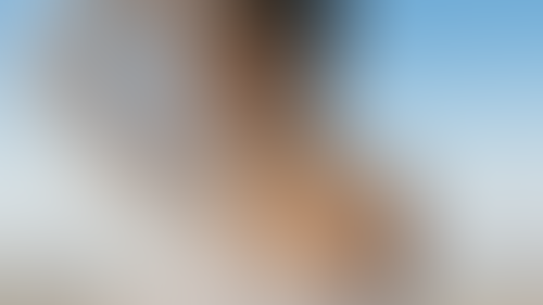 Blurred content preview