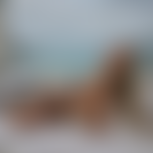 Blurred content preview