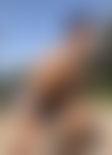 Blurred content preview