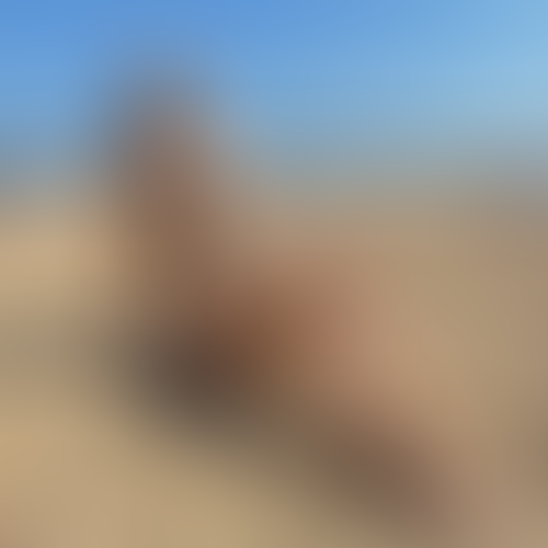 Blurred content preview