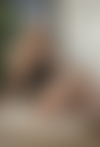 Blurred content preview