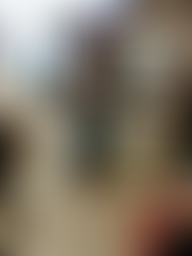 Blurred content preview