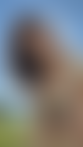 Blurred content preview