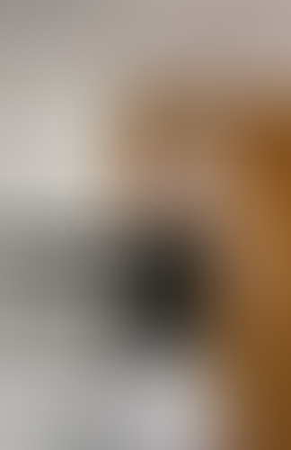 Blurred content preview