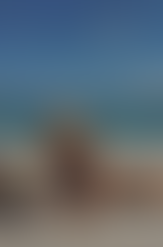 Blurred content preview