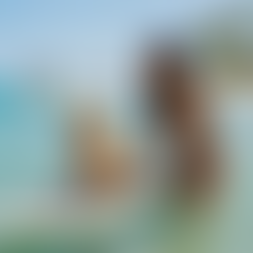 Blurred content preview