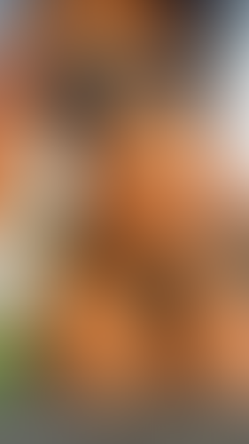 Blurred content preview