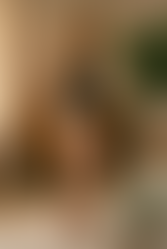Blurred content preview