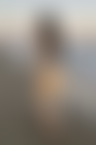 Blurred content preview