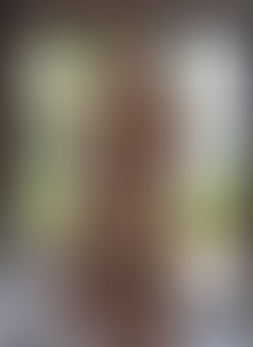 Blurred content preview