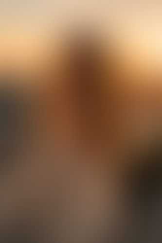 Blurred content preview