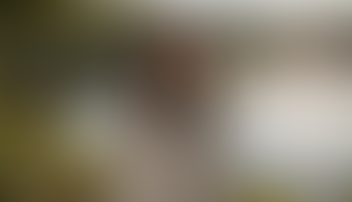 Blurred content preview